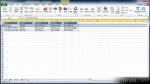 Excel essential 2010 lecture 40 add Records