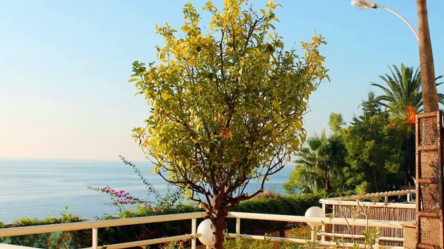 A louer - appartement - Roquebrune Cap Martin (06190) - 2 pièces - 40m²