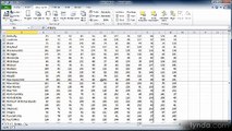 Excel essential 2010 lecture 47 page Breaks