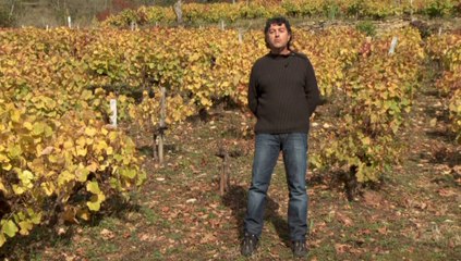Olivier Yobregat, agronome : "Pour le vin, il faut se laisser aller à une curiosité !"