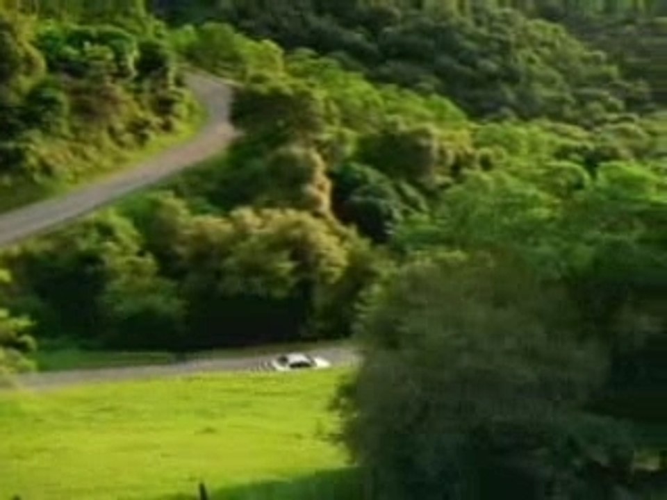 video dacident