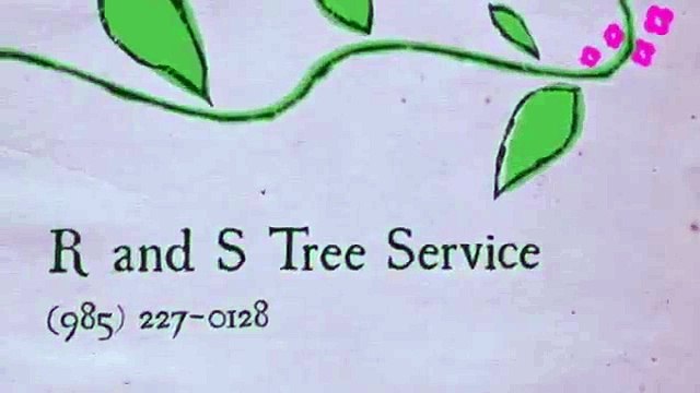 R and S Tree Service (985) 227-0128