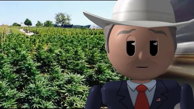 Hemp Oil Dosage Information - Written by Rick Simpson