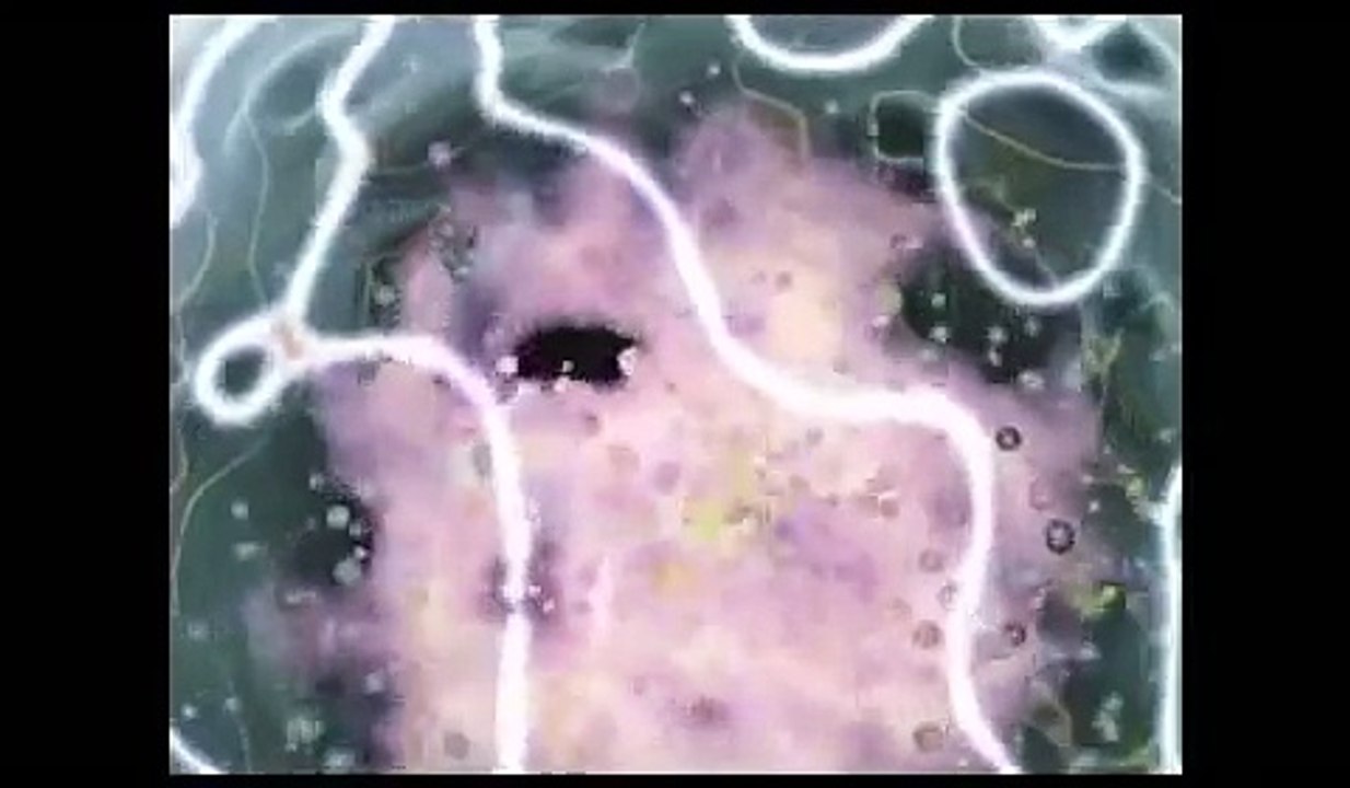 The Action of Cannabinoids in Cancer Cells