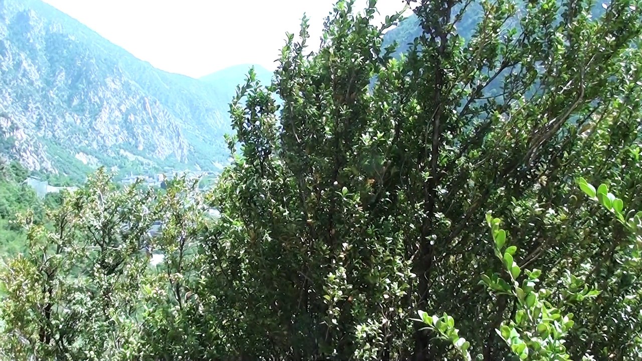 2014.06.22 - Géocaching - Cova Balma la Margineda