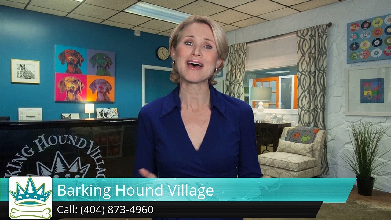 David York Atlanta Barking Hound Village (404) 873-4960 Exceptional Five Star Review