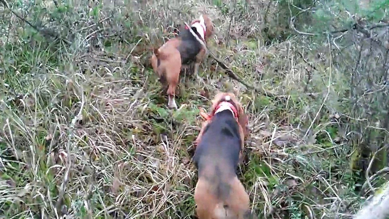 La petite Dordogne dans la voie du Chevreuil.