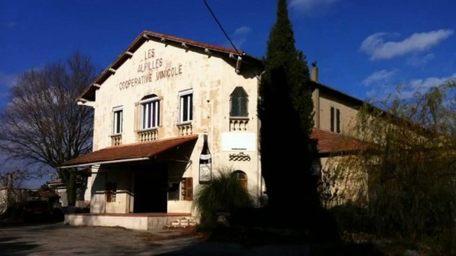 A vendre - Local - St Etienne Du Gres (13103) - 1 200m²