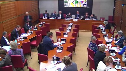 Audition d'Agnès Saal, PDG de l'INA