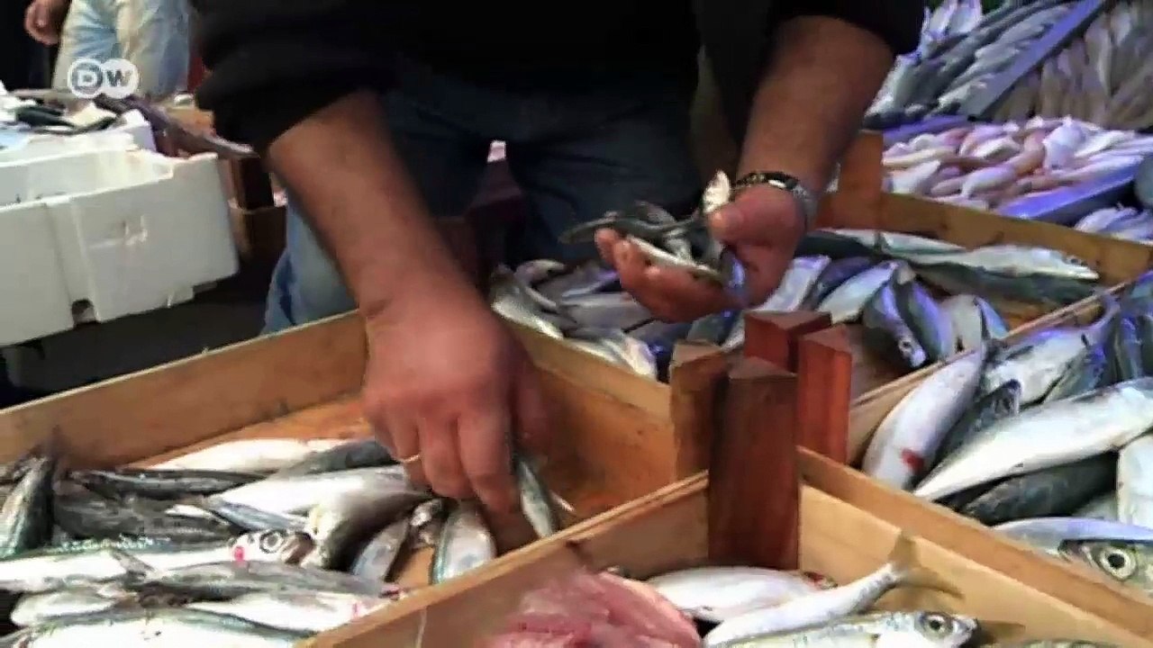 Türkei: Waren für den IS | Fokus Europa