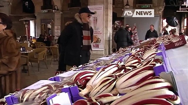 LO SPADONE PER RILANCIARE IL TURISMO