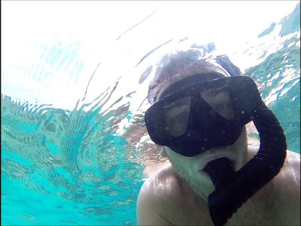 Triggerfish - Ao Leuk - Thaïlande