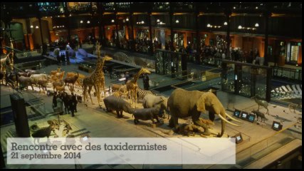 20 ans de la Grande Galerie de l'Évolution : rencontre avec des taxidermistes (4/5)