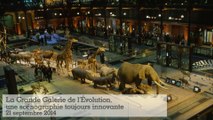 20 ans de la Grande Galerie de l'Évolution : une scénographie toujours innovante (5/5)