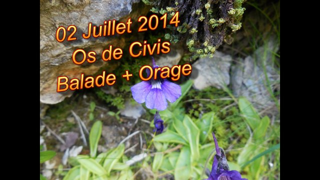 2014.07.02 - Os de Civis - Balade + Orage