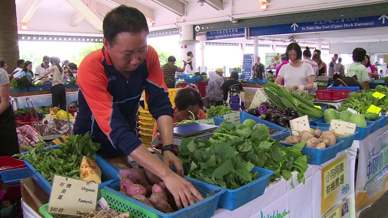 Reis aus dem Großstadtdschungel Hongkong
