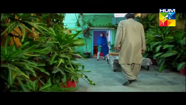 Agar Tum Na Hotay Episode 65 Full on HUM tv 25th November 2014