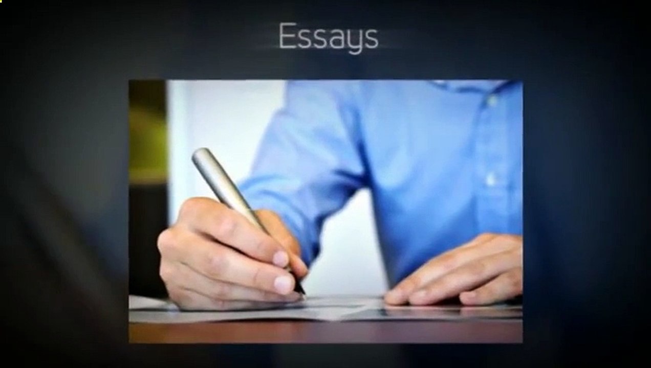 We Do Your Essays
