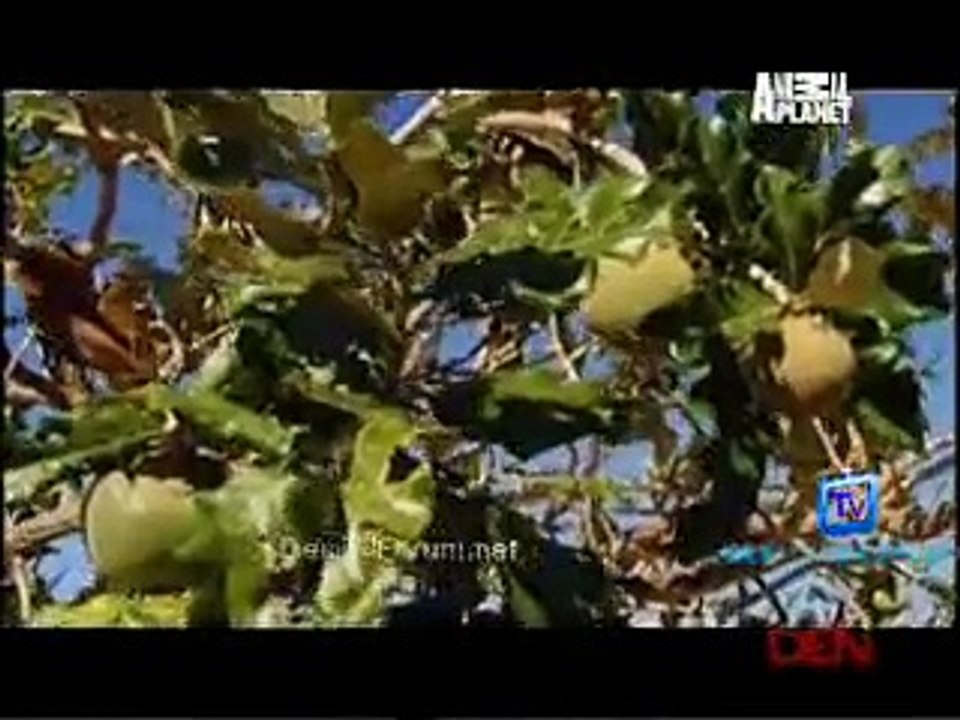Mutant Planet 25th November 2014 Video Watch Online pt3