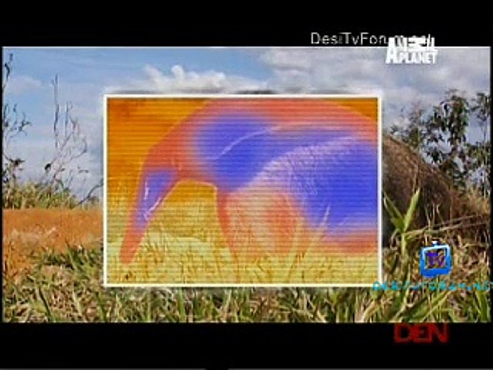 Mutant Planet 25th November 2014 Video Watch Online pt2