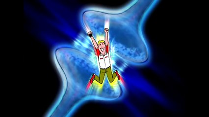 La complexité du cerveau humain