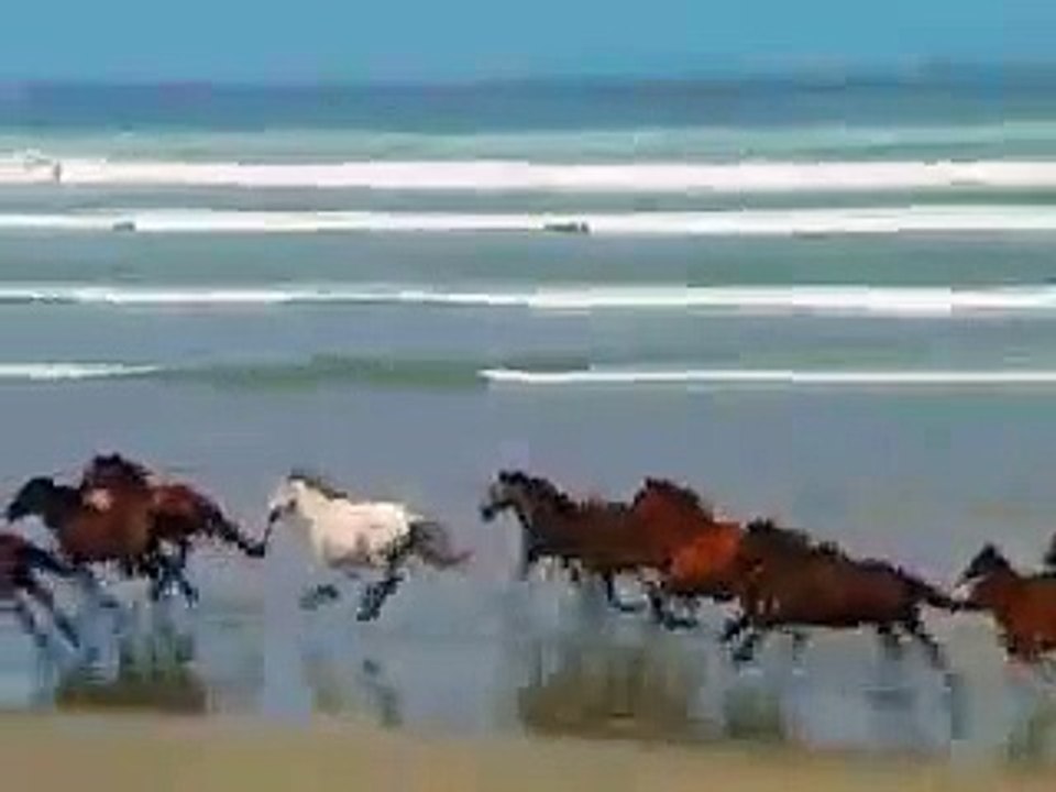 Sample Videos (52) - Copy.mp4-SD
