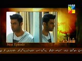 Shanakht on Hum Tv Episode 16 Promo on Hum Tv
