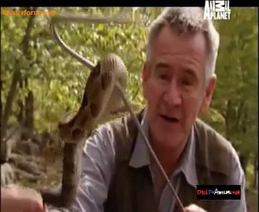 Deadliest With Nigal Marven 25th November 2014 Video Watch Online pt2