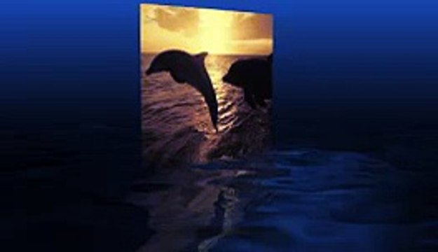 VIDEO COPILOT - 31. 3D Reflections with Refractions - After Effects Tutorials, Plug-ins and Stock Footage for Post Production Professionals