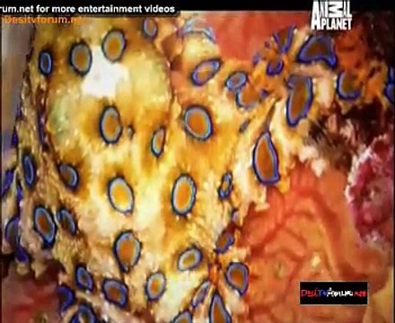 The Wild Ones 25th November 2014 Video Watch Online pt2