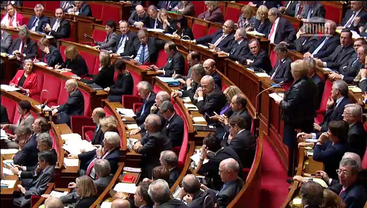[ARCHIVE] Rythmes scolaires et réussite scolaire - Questions au Gouvernement à l'Assemblée nationale : réponse à la députée Catherine Vautrin, mardi 25 novembre 2014