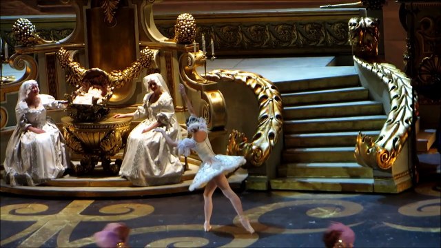 Спящая красавица - Екатерина Крысанова, Дмитрий Гуданов