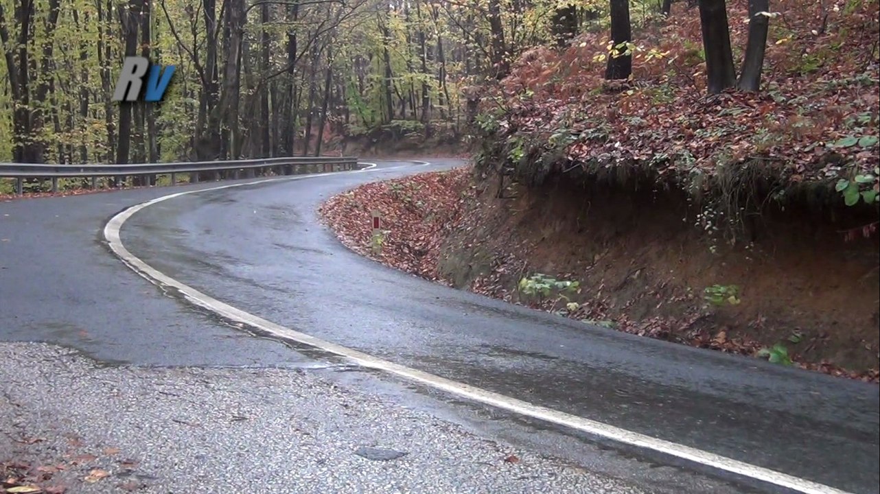 2014 Rally Şile / Erhan Özarık - Onur Lafçı / Fiat Palio