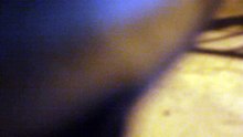 MVI_3100