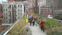 Sights and sounds: New York’s High Line