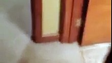 Pai apanhado a cantar para a filha no banho!