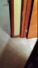 Pai apanhado a cantar para a filha no banho!