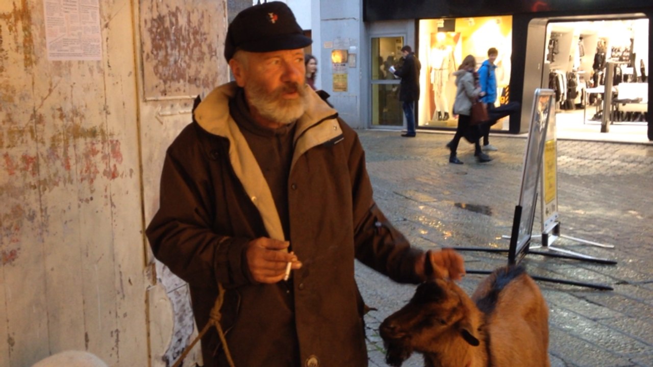 Tintin et ses biquettes Bibi et Mimi