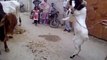 Goat & Cow Fighting Amazing video Must Watch - Pakistan Videos
