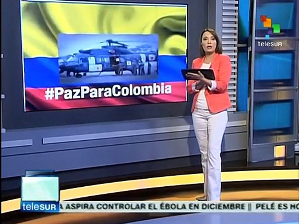 FARC y Estado colombiano muestran que pueden resolver crisis: analista