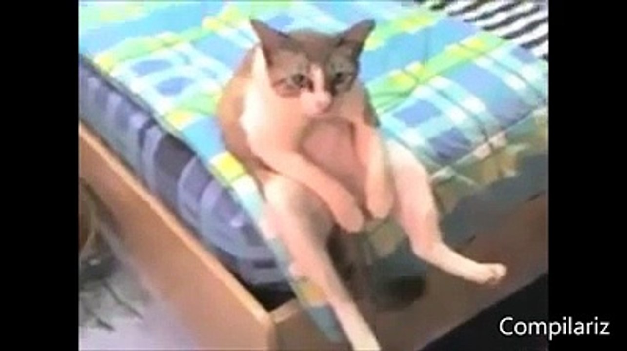 Bu harik videoyu mutlaka izleyin