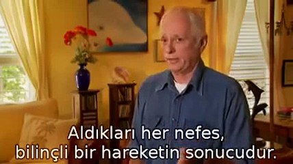 Dünyanın İlk Yunus Eğitmeni Nasıl Değişti_