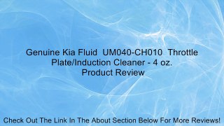 Genuine Kia Fluid  UM040-CH010  Throttle Plate/Induction Cleaner - 4 oz. Review