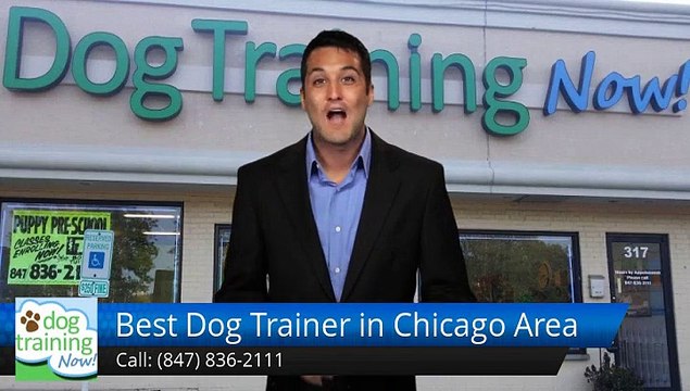Best Dog Trainer in Chicago Area Schaumburg Perfect 5 Star Review by Maddy K.