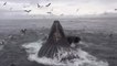 Whale Feeding Frenzy Caught on Camera