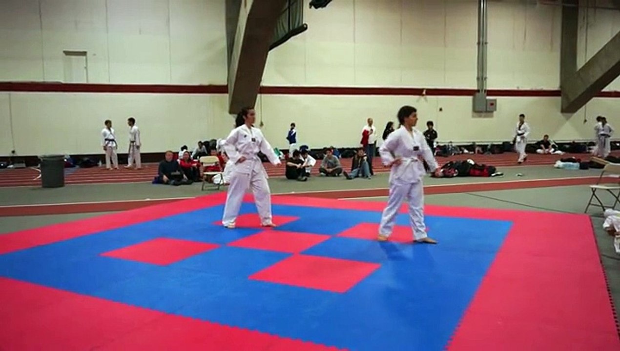 Form-Martine Taegeuk 2 R2