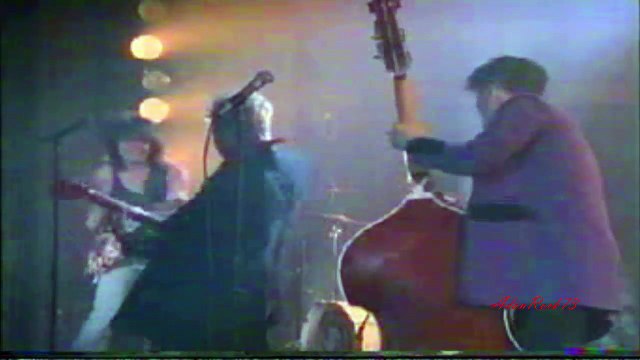 Stray Cats - Blue Suede Shoes (With E. Van Halen, Steve Miller, B.B. King, David Gilmour, etc...)