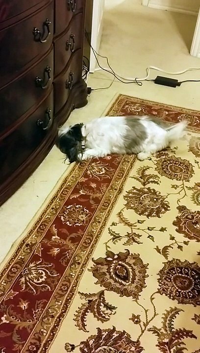 "20141113_065428.mp4"