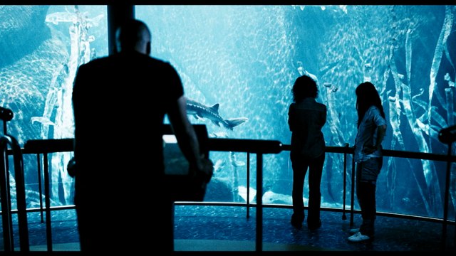 Bande-annonce : Vic + Flo ont Vu un Ours - VOST