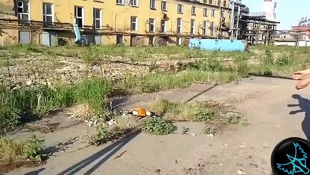 Fail Videoları, Komik Videolar, Kaza Videoları - Haziran 2014 [HD]